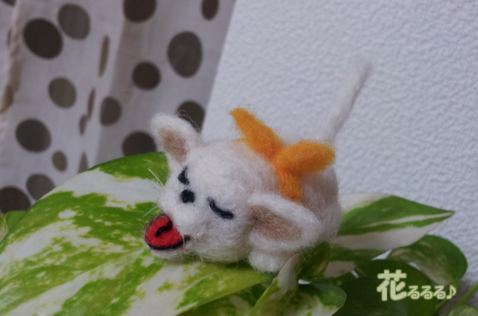 アカンベェ猫